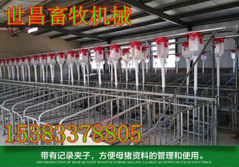 豬場(chǎng)育肥欄雙排料線